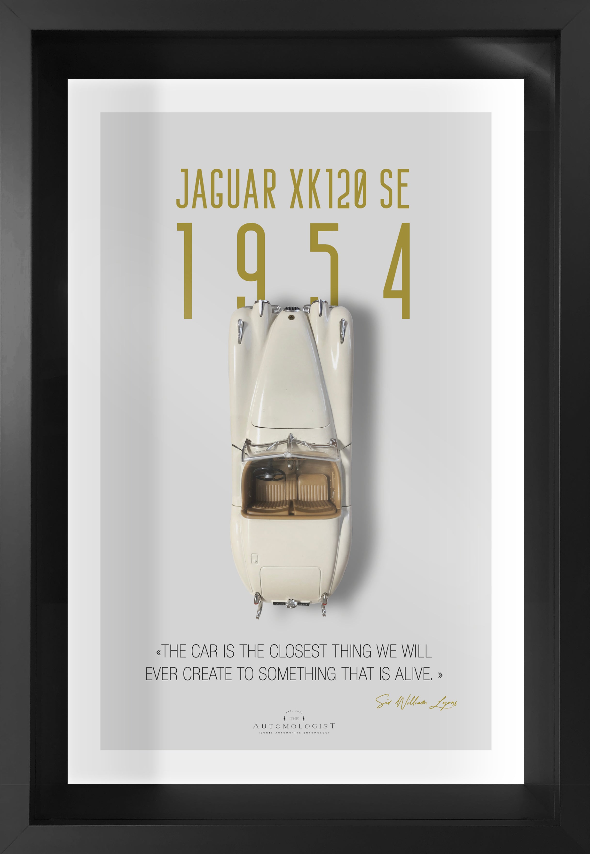 Jaguar XK 120 - 40x60