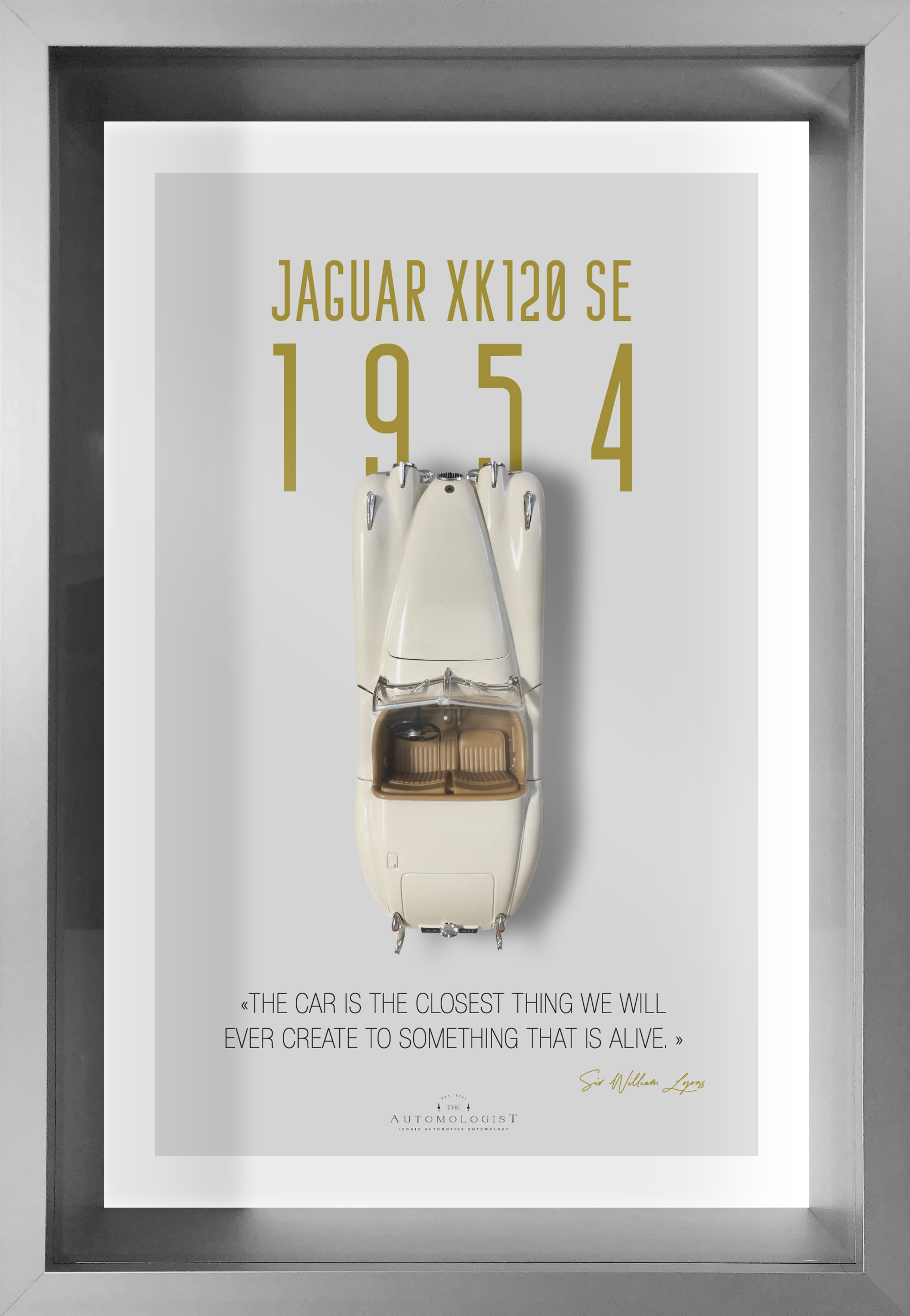 Jaguar XK 120 - 40x60