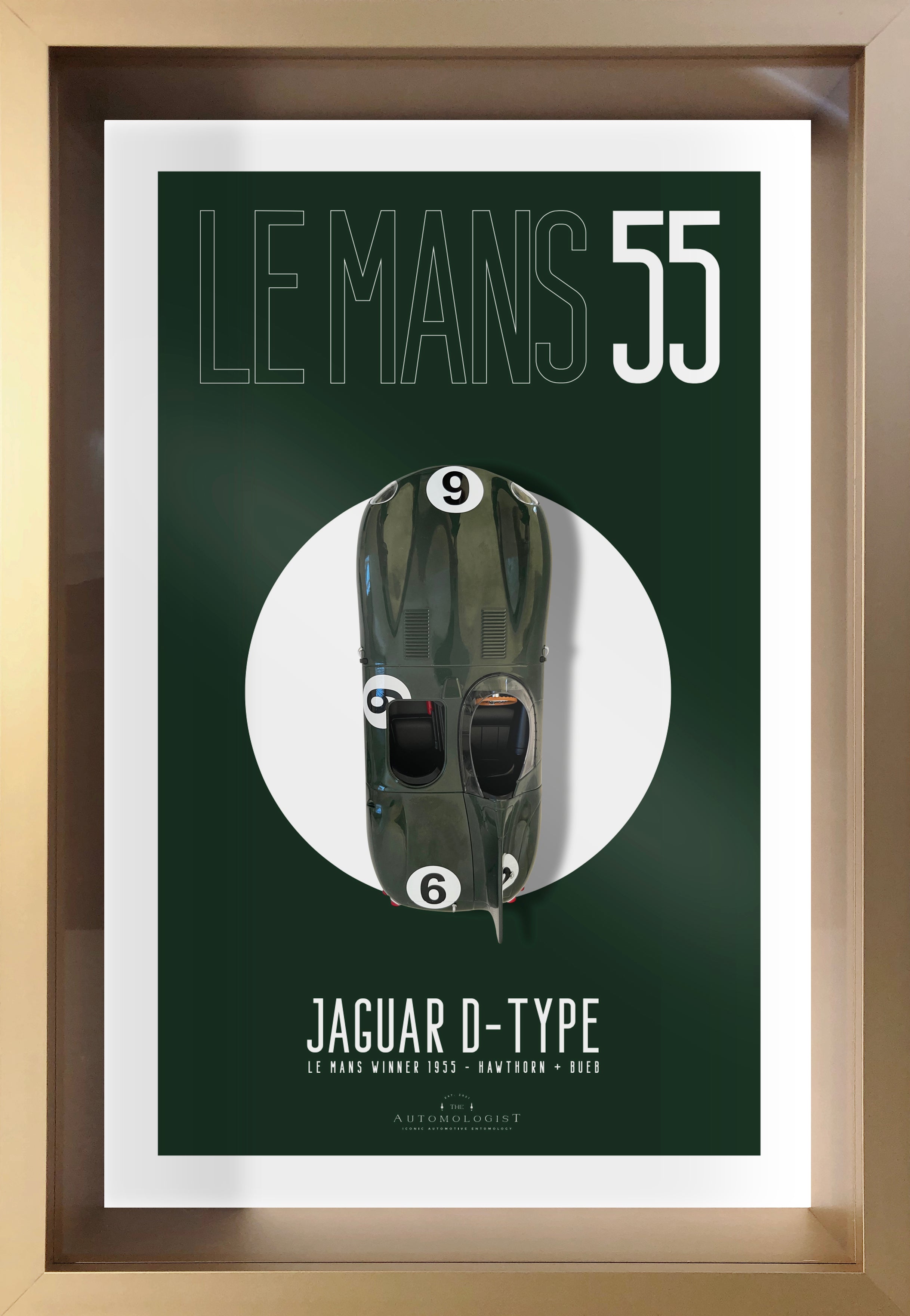 Jaguar D-Type Green - 40x60