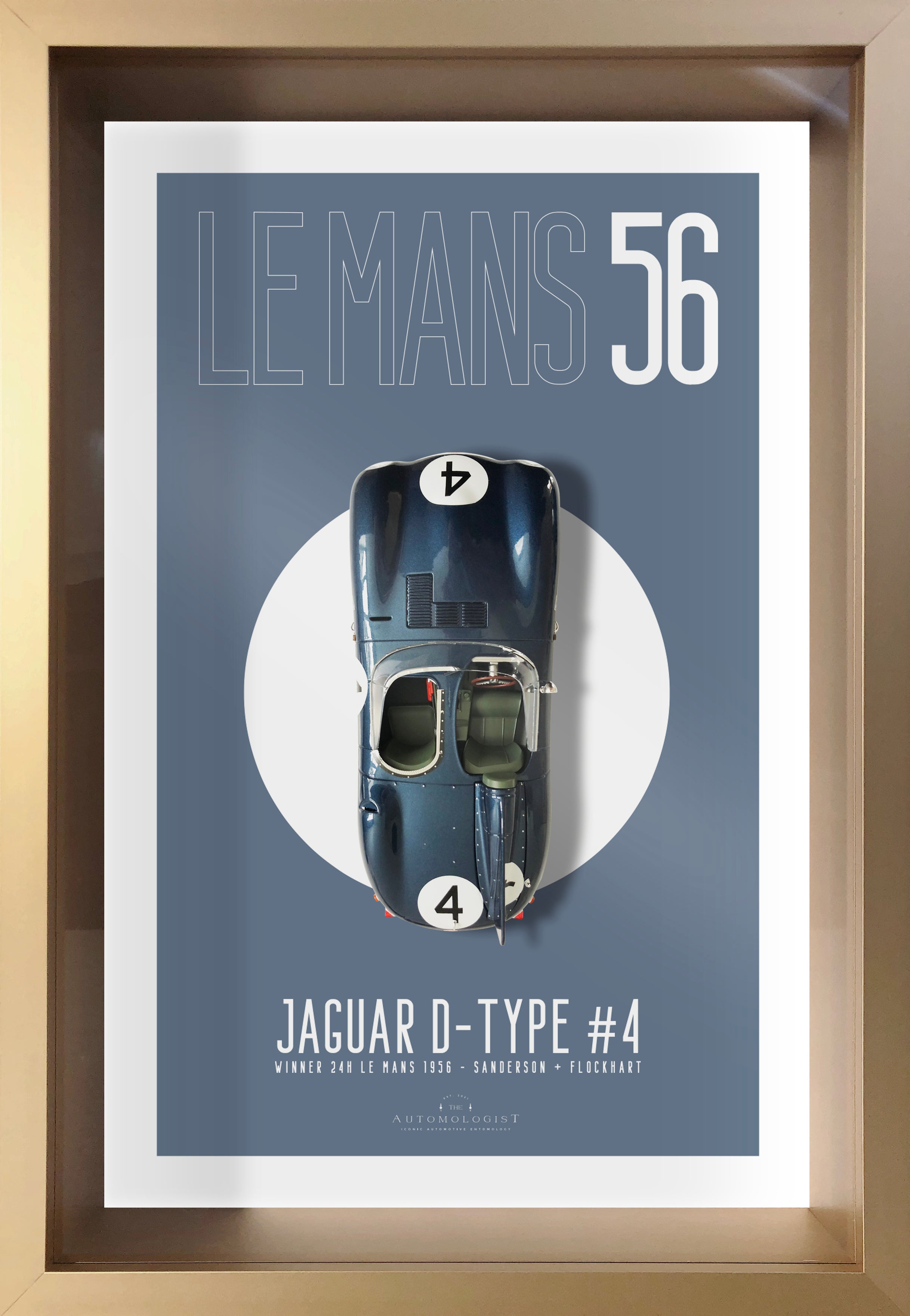 Jaguar D-Type Blue - 40x60