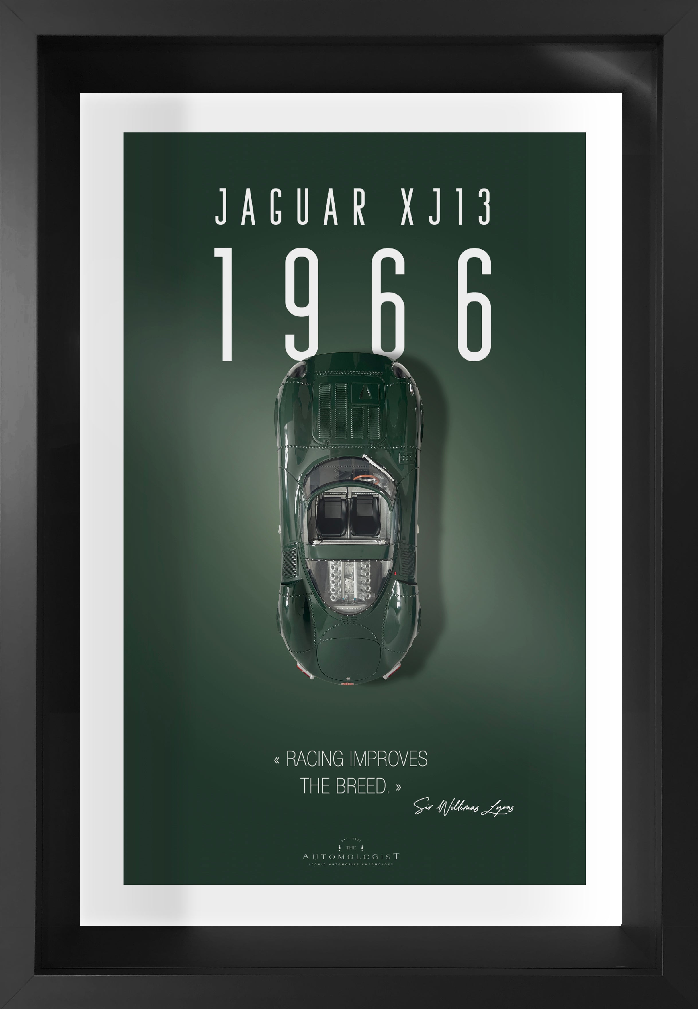 Jaguar XJ13 - 40x60
