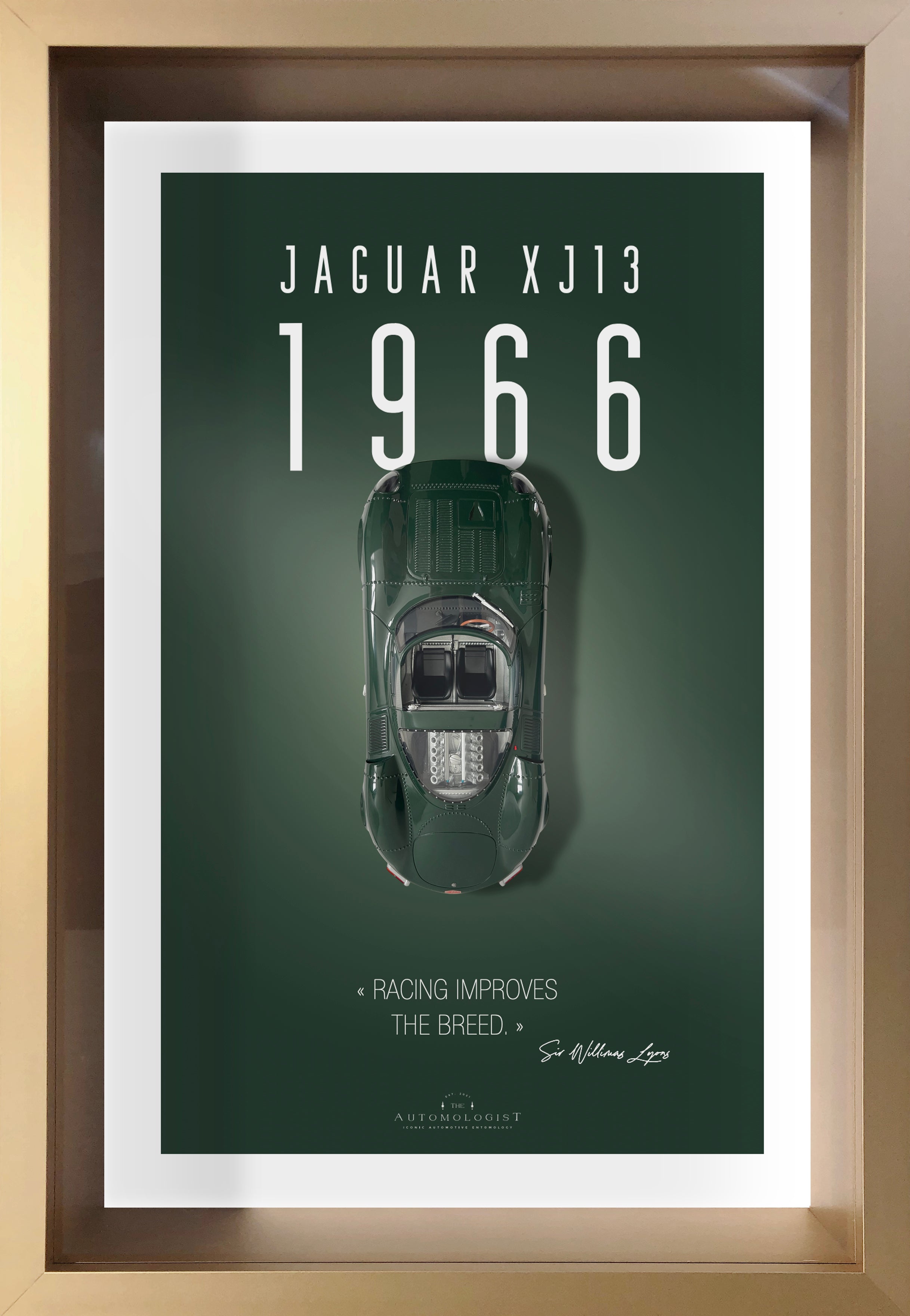 Jaguar XJ13 - 40x60