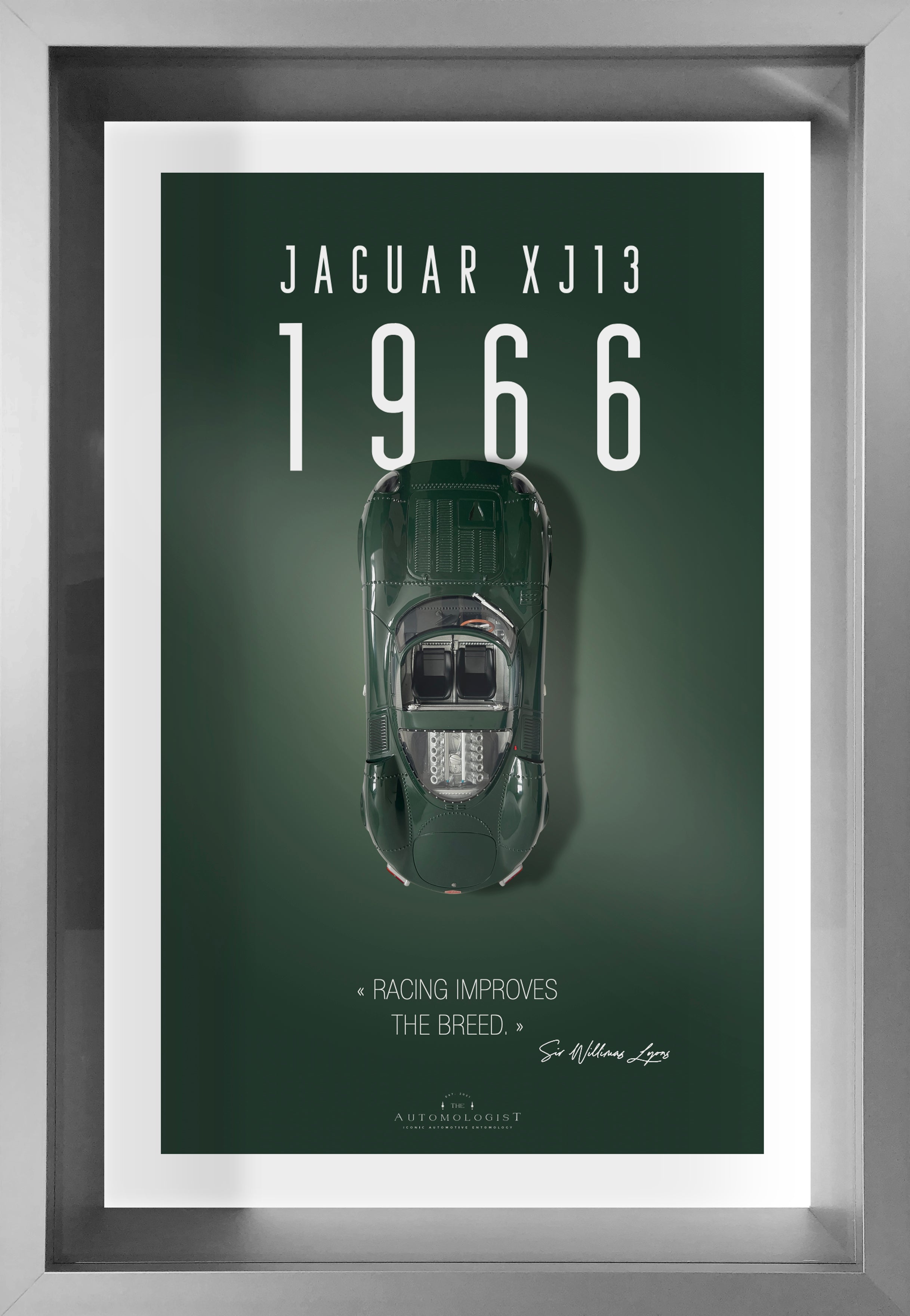 Jaguar XJ13 - 40x60