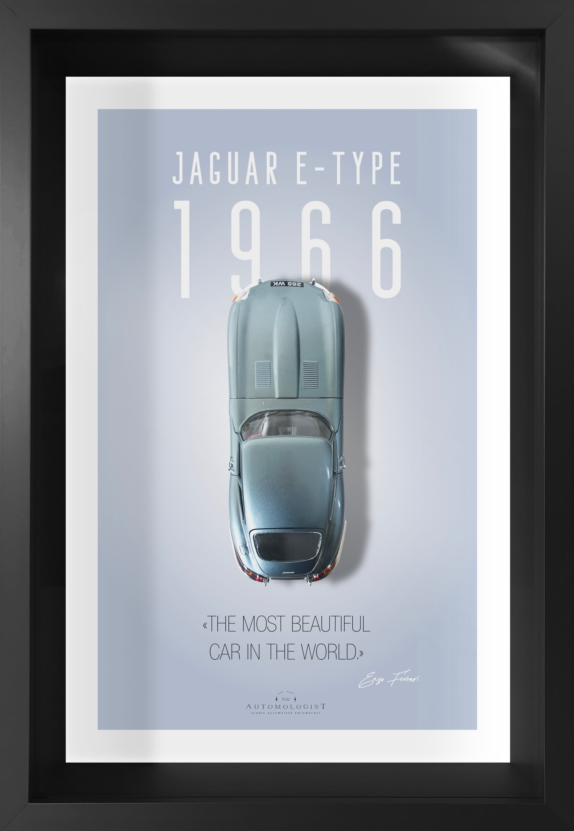 Jaguar Type E - 40x60